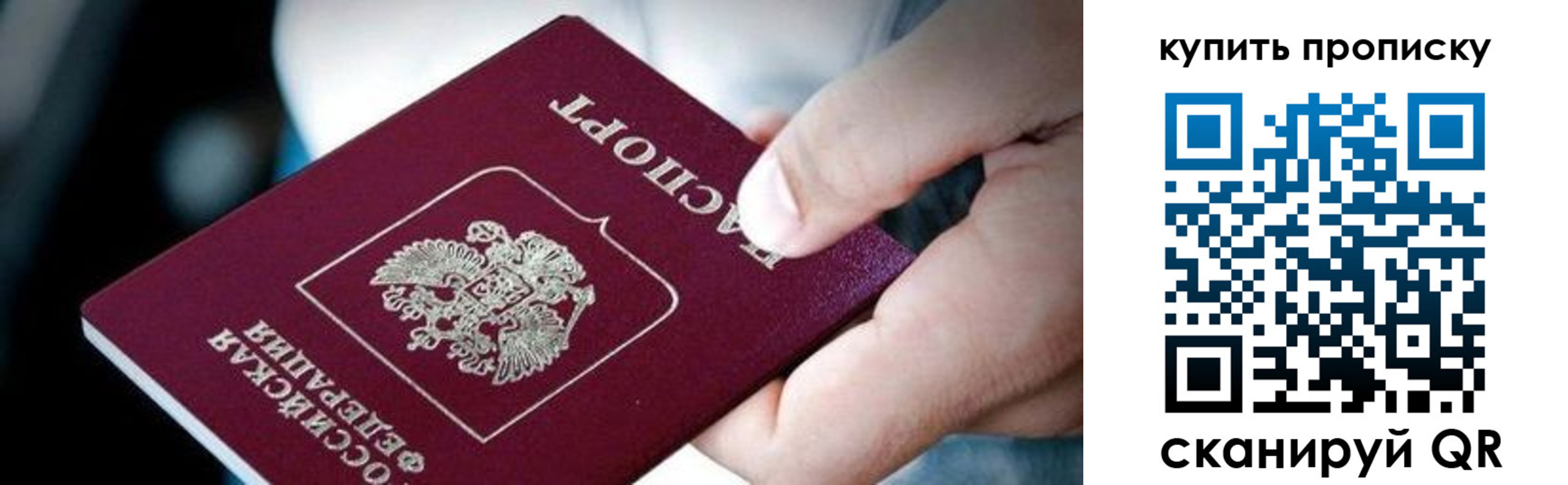 прописка поиск в Сураже